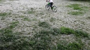 Çayırın güzel görüntüleri ve kavak tüyüyle kaplanmış otlar.