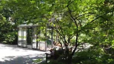 Avrupa, İtalya, Milano Mayıs 2021 - Brera Botanik Bahçesi Covid-19 Coronavirus salgını nedeniyle kapatıldıktan sonra şehir merkezindeki Sanat Üniversitesi