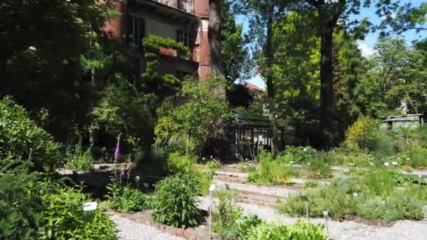 Europe Italy Milan May 2021 Brera Botanical Garden University Art — стокове відео