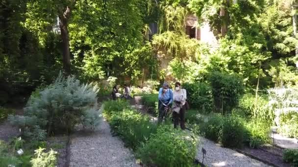 Ευρώπη Ιταλία Μιλάνο Μάιος 2021 Brera Βοτανικός Κήπος Στο Πανεπιστήμιο — Αρχείο Βίντεο