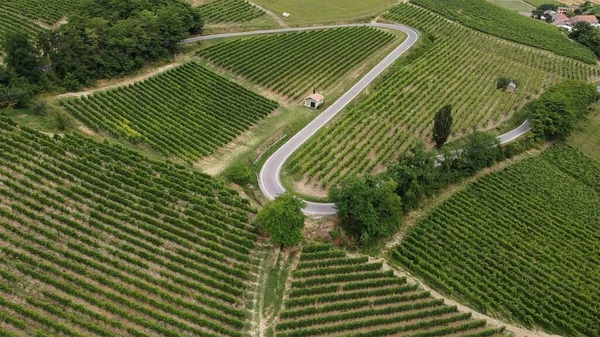 ヨーロッパ イタリア オルトレポ パヴィア ブロニ シコニョーラの3カ国のワイン生産のためのブドウ畑がある田園風景のドローンからの空中風景 ピアノ パダナ ブドウの列の間の道路パス — ストック写真