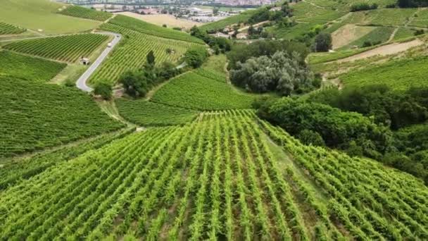 Europa Italia Oltrepo Pavía Broni Cigognola Vista Aérea Desde Dron — Vídeo de stock