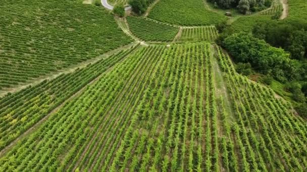 Europe Italy Oltrepo Pavia Montalto Pavese Aerial View Drone Countryside — Stock Video