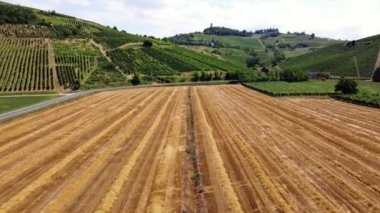 Avrupa, İtalya Broni ve Cigognola, Oltrepo Pavese - Pavia yakınlarındaki şarap üretimi için taze kesilmiş sarı buğday tarlası ve üzüm bağlarının insansız hava aracı görüntüsü