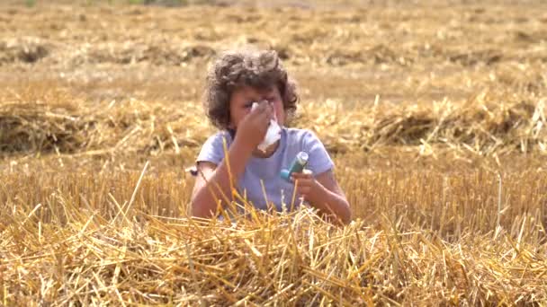 ヨーロッパの白人の子供たちは 新鮮な麦畑で花粉からアレルギーを持っています 男の子は花畑で鼻を走って ティッシュペーパーで鼻を拭く 喘息とヴェントリン — ストック動画