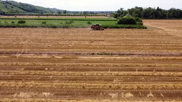 Europa Itália Broni Cigognola Oltrepo Pavese Vista Aérea Drone Campo — Vídeo de Stock