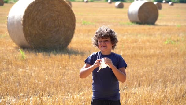Маленькие Европейские Кавказские Дети Страдают Аллергией Цветочную Пыльцу Свежевырубленном Пшеничном — стоковое видео