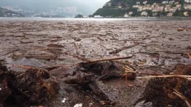 Como Gölü 'ndeki sel felaketinden sonra Avrupa, İtalya, Como, Temmuz 2021' de büyük hasar gördü. Como Gölü, yağmur ve taşan nehirler nedeniyle sel altında kalan orman ve ağaçlarla doluydu.