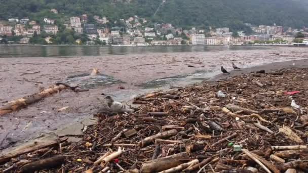 Europe Italy Como July 2021 Extensive Damage Flood Como Lake — Stock Video