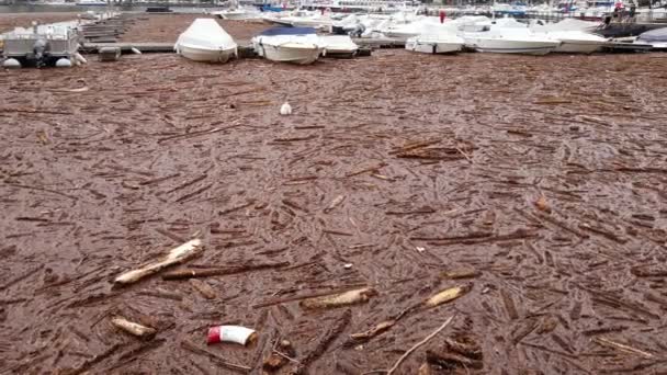 Европа Италия Комо Июль 2021 Большой Ущерб После Наводнения Комо — стоковое видео