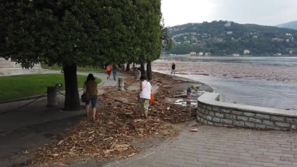 ヨーロッパ イタリア 2021年7月コモの洪水後の大きな被害 コモ湖は雨や氾濫する川のために嵐の力によって損なわれた森や木でいっぱいです — ストック動画