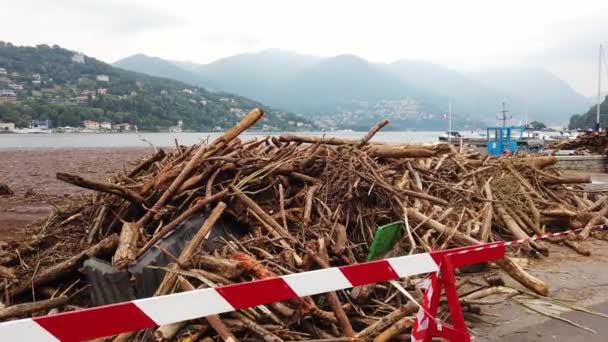 호수의 2021 이탈리아 범람하는 강으로 폭풍으로 인하여 나무들 침식되어 피해를 — 비디오