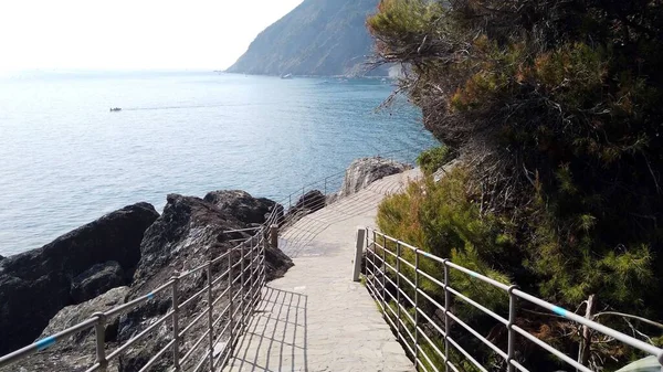 Italien Ligurien Framura Blick Auf Den Weg Des Meeres Oder — Stockfoto