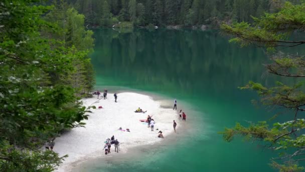 Europa Włochy Trentino Dolomity Alpy Włoskie Tovel Lake Lago Tovel — Wideo stockowe