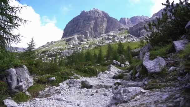 Europa Włochy Trentino Pułkownik Rodella Val Fassa Sierpień 2021 Passo — Wideo stockowe