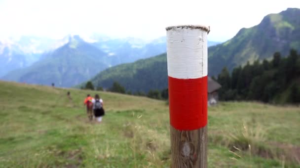 Red White Signal Indicate Existence Path Marked Out Tourists Mountain — Stock Video