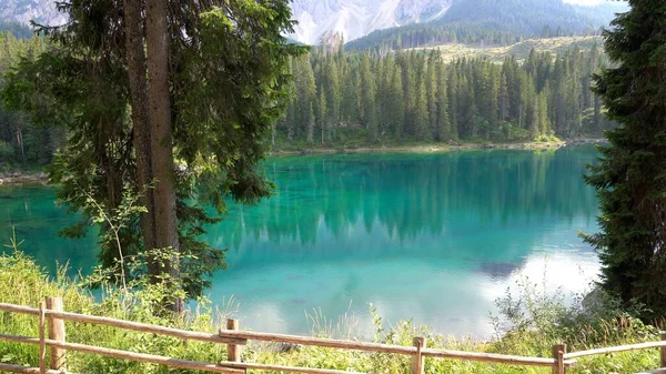 ヨーロッパ イタリア トレンティーノ ドロミテの湖Lago Carezza Karersee Lake Catinaccio山脈 緑の澄んだ水と松の木 — ストック写真