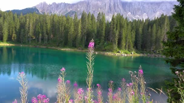 Europa Italien Trentino Augusti 2021 Lake Lago Carezza Karersee Dolomiterna — Stockvideo