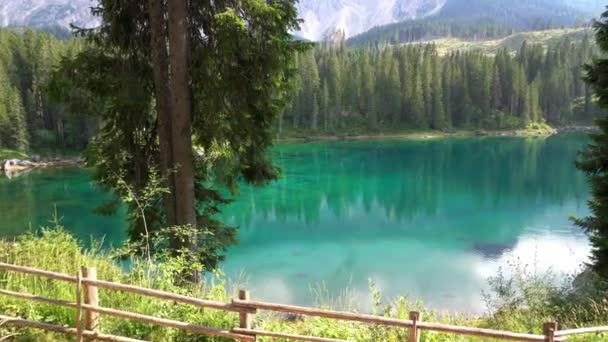 意大利 Trentino Dolomites Catinaccio山Lago Carezza Karersee 绿水和松木 — 图库视频影像