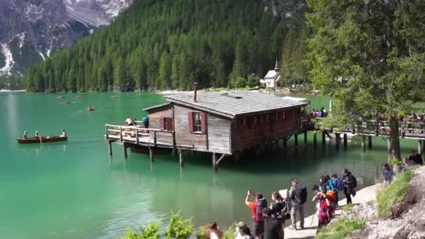 ヨーロッパ イタリア トレンティーノ アルト アディジェ 2021年8月 緑の水とボートを持つドロミテ山脈のラゴ ブレイズ プラガー野生の湖 — ストック動画