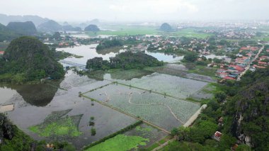Asya, Vietnam 'ın Kızıl Nehir Deltası bölgesinde yaz tayfunu Ninh Binh ve Tam Coc tarafından sular altında bırakıldı.