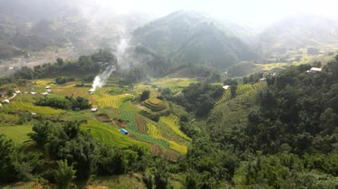 Muong Hoa Vadisi, Lao Cai, Sapa 'da pirinç üretimi için ünlü teras pirinç tarlaları. Asya, Vietnam.
