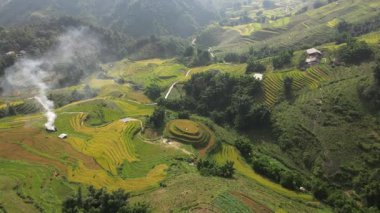Muong Hoa Vadisi, Lao Cai, Sapa 'da pirinç üretimi için ünlü teras pirinç tarlaları. Asya, Vietnam.