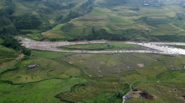 Muong Hoa Vadisi, Lao Cai, Sapa 'da pirinç üretimi için ünlü teras pirinç tarlaları. Asya, Vietnam.