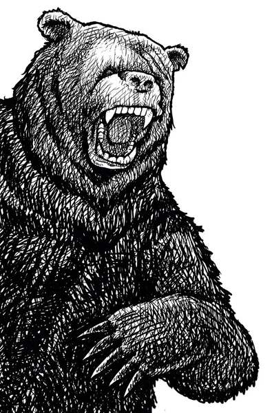 Boceto de oso enojado — Foto de Stock