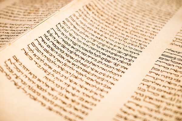 The Hebrew handwritten Torah scroll text close up