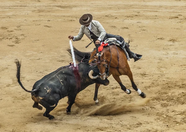 Episode bullfighting . — Stock Photo, Image