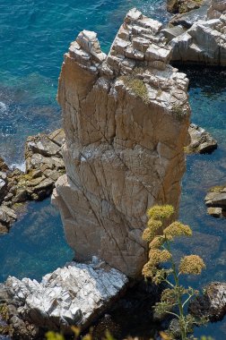 Blanes - rahat tatil beldesi .