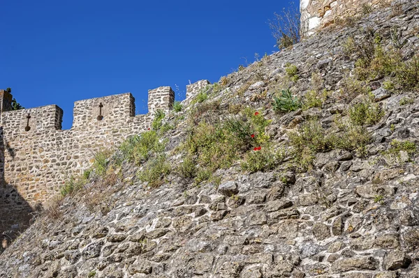 Klooster van de orde van Chris - de vesting muur en de shaf — Stockfoto