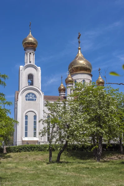 Ryssland, Rostov on Don. Kyrkan av St Dimitri, Metropolitan av — Stockfoto