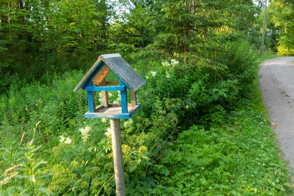 Güzel doğal yeşil ağaçlar ve bitkilerle manzara, Parkta bir kuş besleyicisi, yaz boyunca orman.