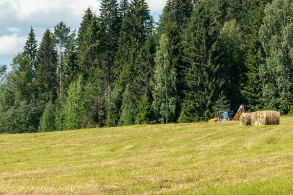 Récolte Herbe Sèche Foin Roulé Dans Une Prairie Champ Parmi — Photo