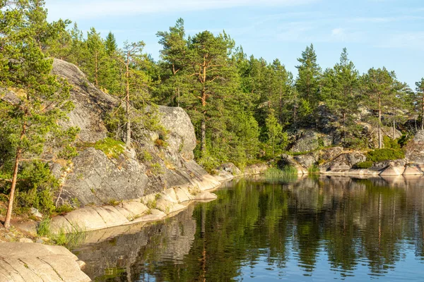 Prachtig Landschap Met Natuurlijk Groene Planten Bomen Rotsen Bergen Vijvers — Stockfoto