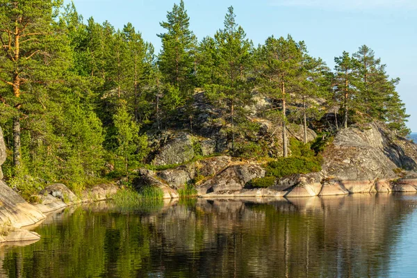 Gyönyörű Táj Természetes Zöld Növények Fák Sziklák Hegy Folyó Karelia — Stock Fotó