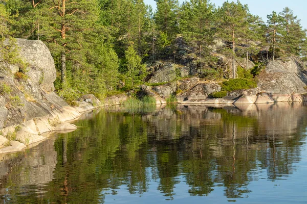 Gyönyörű Táj Természetes Zöld Növények Fák Sziklák Hegy Folyó Karelia — Stock Fotó