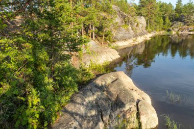 Doğal bir rezervuarla çevrili bir adada yeşil, doğal ağaçlardan, bitkilerden, taşlardan oluşan güzel bir manzara. Rusya 'nın Karelia şehrinde mavi bir gökyüzüne karşı bir göl.