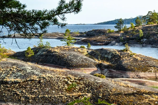 Hermoso Paisaje Árboles Verdes Naturales Plantas Piedras Una Isla Rodeada — Foto de Stock