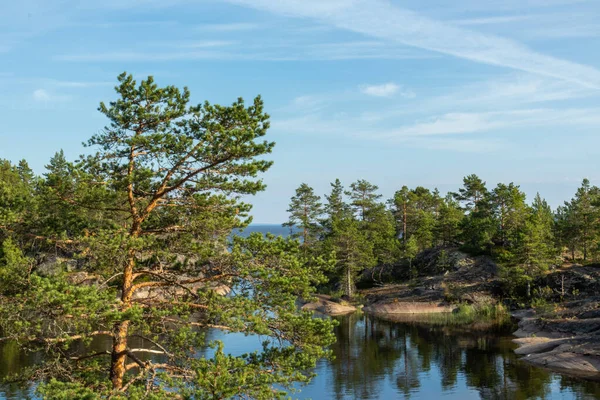 Prachtig Landschap Van Groene Natuurlijke Bomen Planten Stenen Een Eiland — Stockfoto