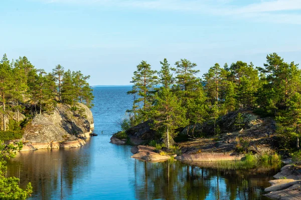 Prachtig Landschap Van Groene Natuurlijke Bomen Planten Stenen Een Eiland — Stockfoto