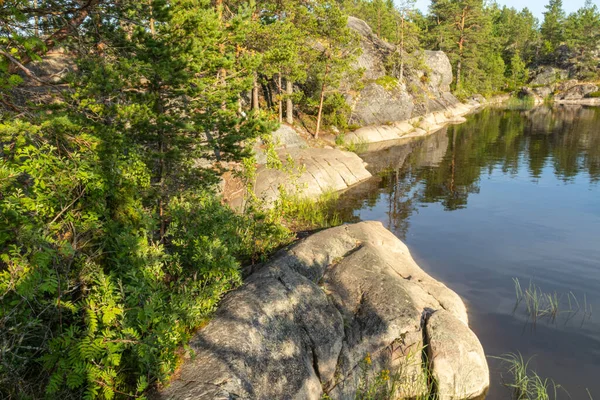 Prachtig Landschap Van Groene Natuurlijke Bomen Planten Stenen Een Eiland — Stockfoto