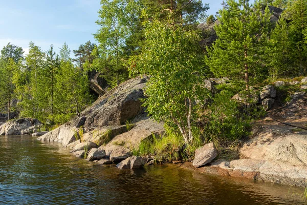 Beautiful Landscape Green Natural Trees Plants Rocks Island Natural Pond — Stock Photo, Image