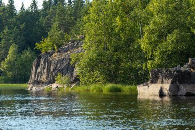 Yeşil, doğal bitkiler, dağdaki ağaçlar, rezervuarın yakınındaki bir adada kayalar, Rusya 'nın Karelia yazında göl.