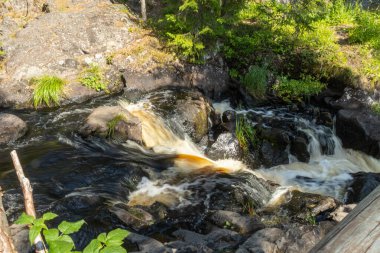 Şelale, nehir, yeşil ağaçlar ve bitkiler, kayalar, yaz mevsiminde Rusya 'nın Karelia kentindeki dağ manzarası.