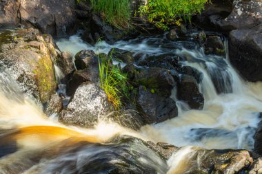 Şelale, nehir, yeşil ağaçlar ve bitkiler, kayalar, yaz mevsiminde Rusya 'nın Karelia kentindeki dağ manzarası.
