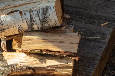 Yığının içinde bir yapı olan kazan için kazık saplanmış odun.