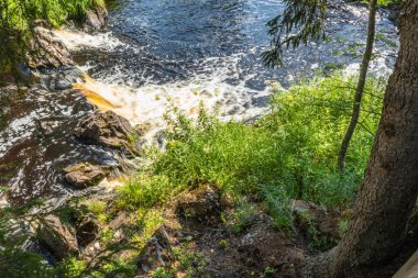 Güzel, doğal, taşlı çağlayan şelale, ormandaki yeşil bitkiler, güzel, açık bir günde yazın park etmek.